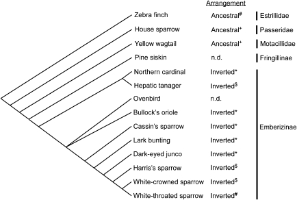 FIG. 2.—