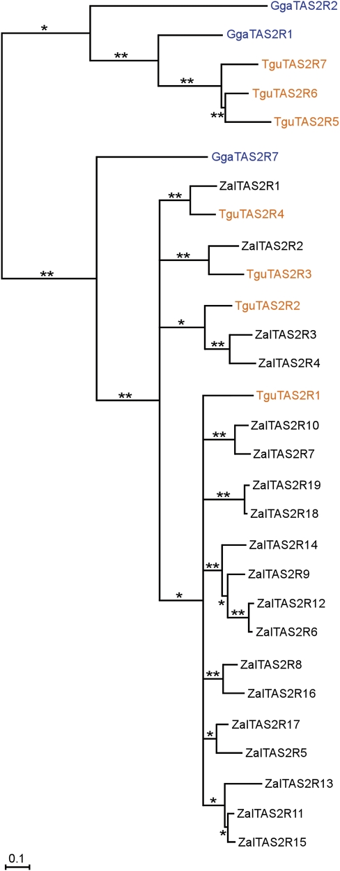 FIG. 3.—