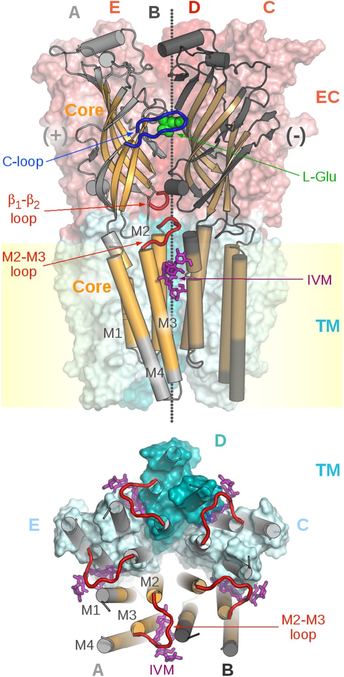 Fig. 1.