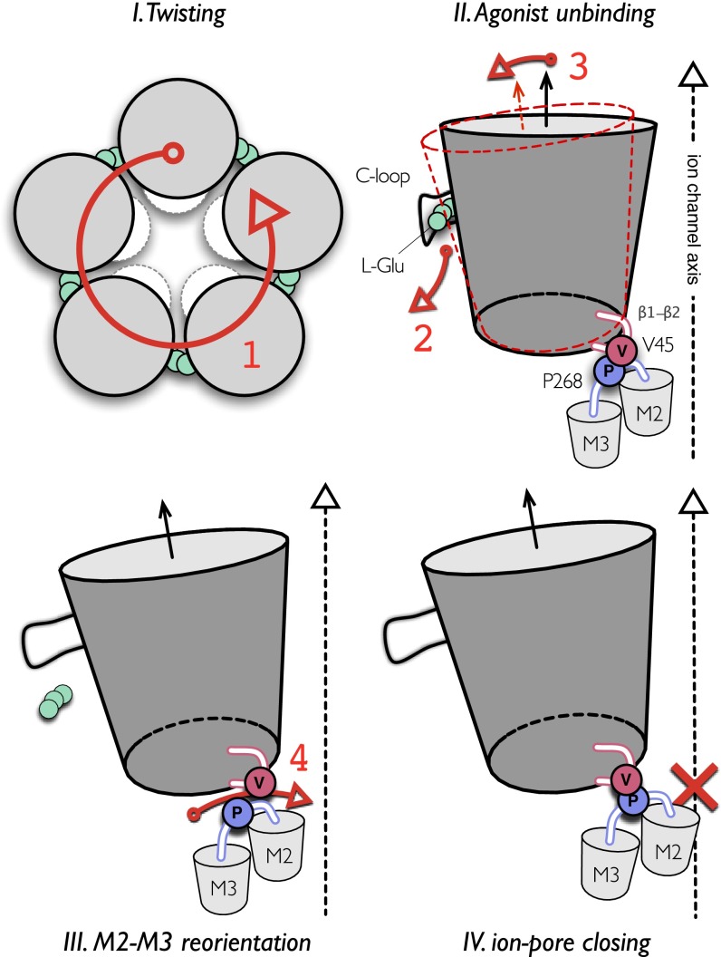 Fig. 6.