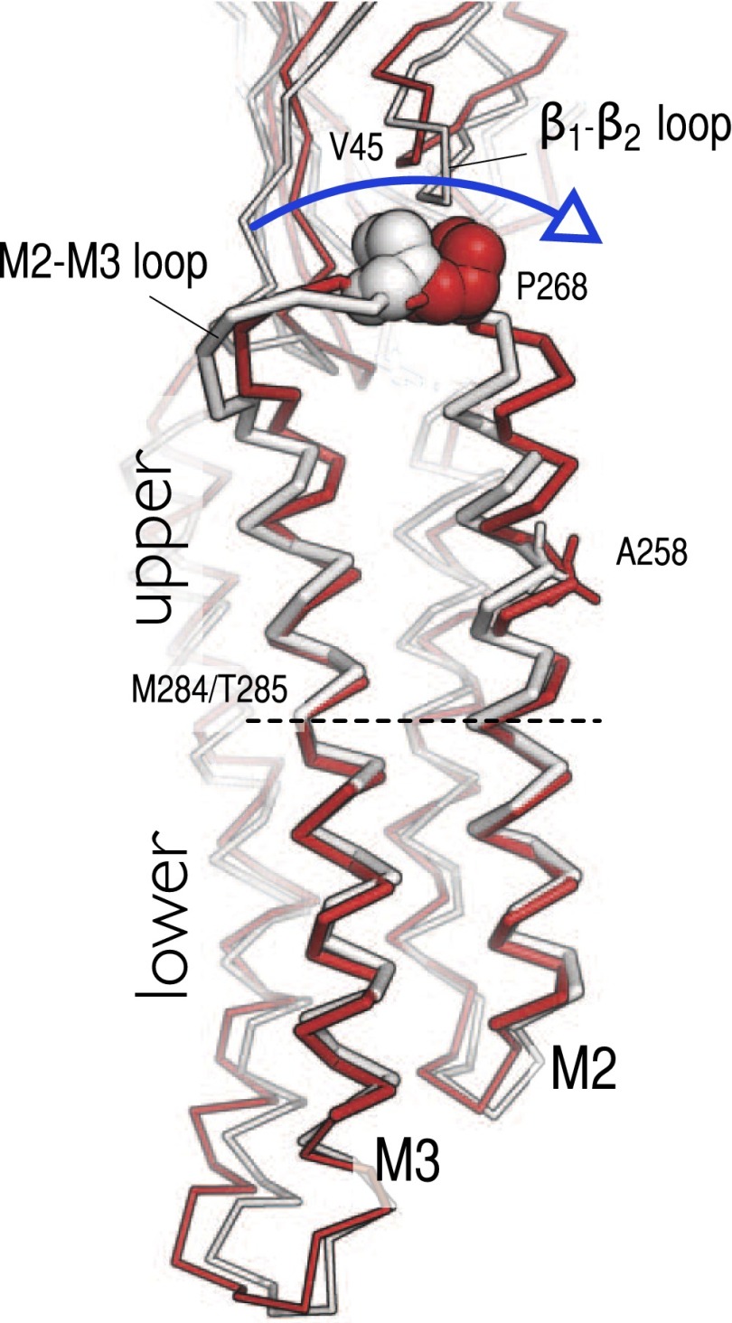 Fig. 4.