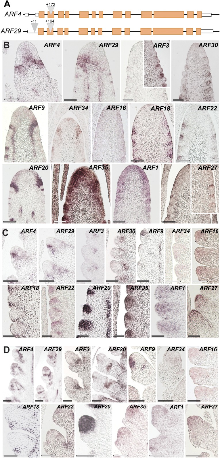 Fig. S5.