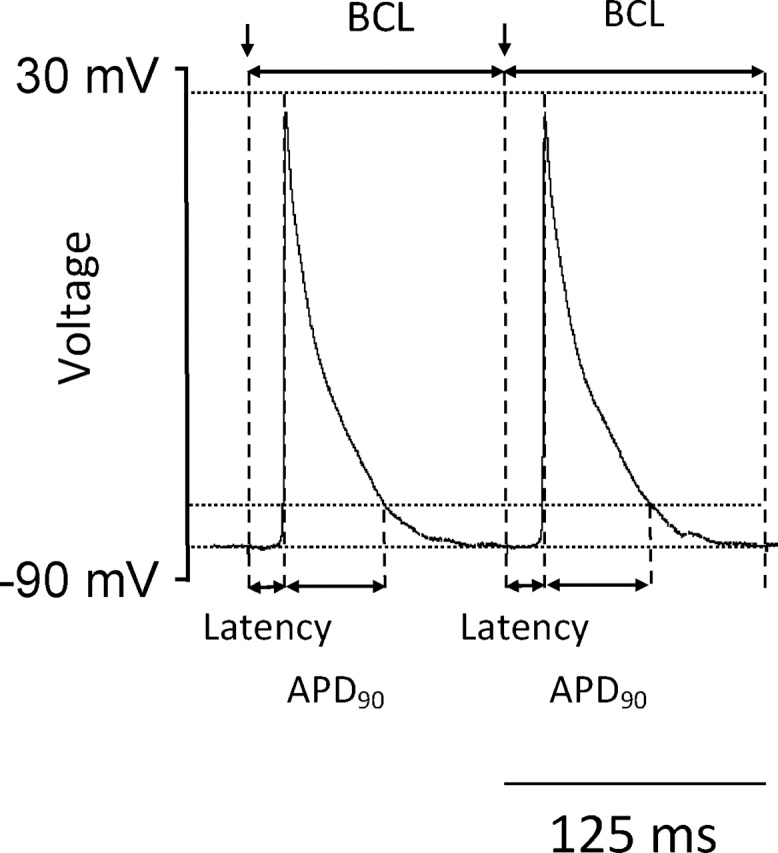 Fig. 1