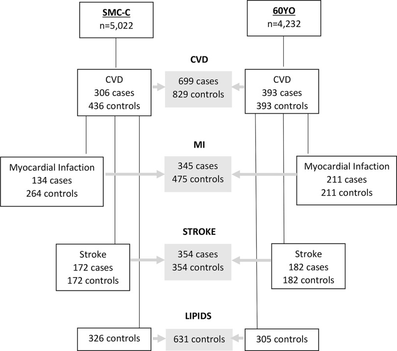 Figure 1 is a flowchart having five steps. Step 1: There are 5,022 cases of Swedish Mammography Cohort-Clinical cohort and 4,232 cases of 60 year-olds. Step 2: Cardiovascular disease: 306 cases and 436 controls under Swedish Mammography Cohort-Clinical cohort, and 393 cases and 393 controls under 60 years-old. There is a total 699 cases and 829 controls. Step 3: Myocardial Infarction: 134 cases and 264 controls under Swedish Mammography Cohort-Clinical cohort, and 211 cases and 211 controls under 60 years-old. There is a total 345 cases and 475 controls. Step 4: Stroke: 172 cases and 172 controls under Swedish Mammography Cohort-Clinical cohort, and 182 cases and 182 controls under 60 years-old. There is a total 354 cases and 354 controls. Step 5: Lipids: 326 controls under Swedish Mammography Cohort-Clinical cohort, and 305 controls under 60 years-old. There is a total 631 controls.