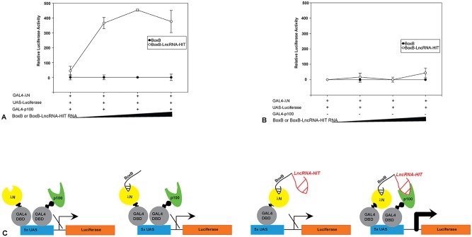 Fig 11