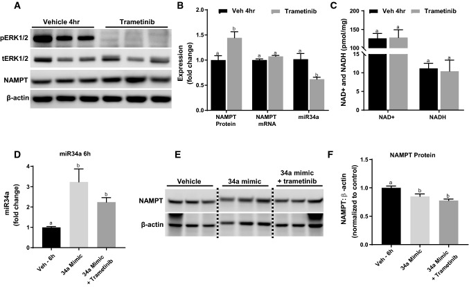 Fig. 6