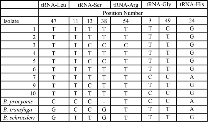 Fig. 4