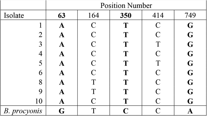 Fig. 3