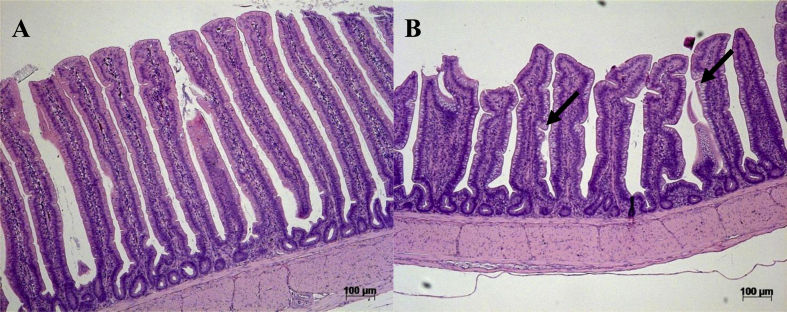 Fig. 4