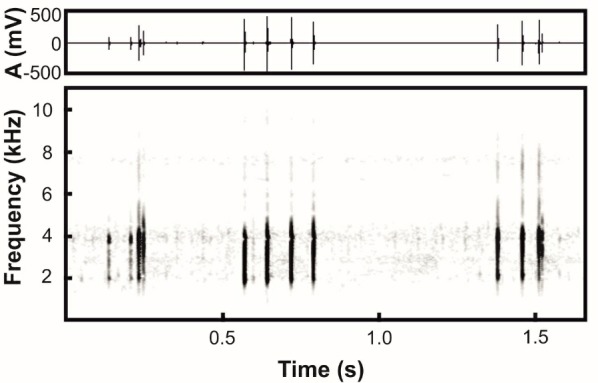 Figure 11