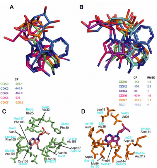 Figure 6