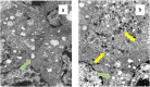Fig. 9