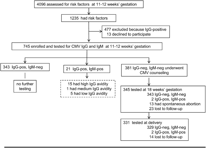 Fig. 2