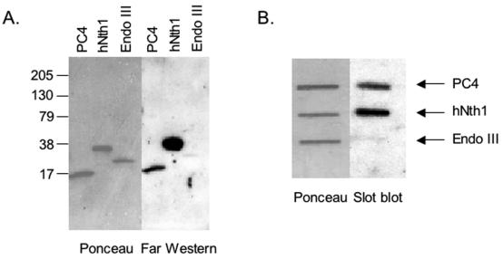 FIG. 8.