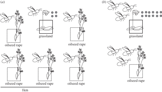 Figure 1.