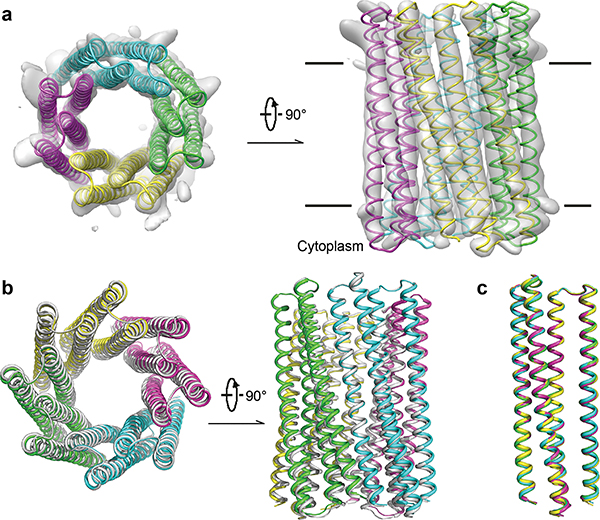 Figure 4.