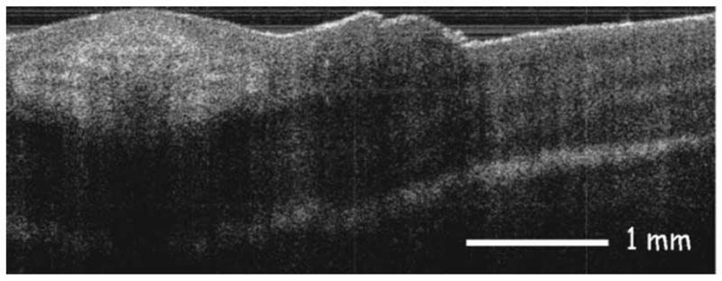 Fig. 6