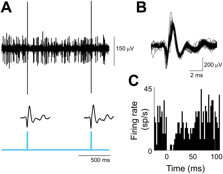 Figure 6—figure supplement 1.