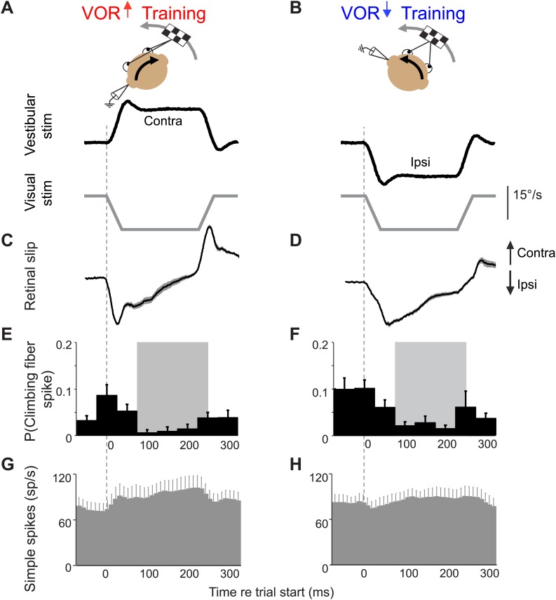 Figure 2—figure supplement 1.