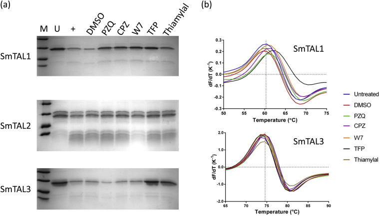 Fig. 3