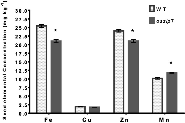 Fig. 9