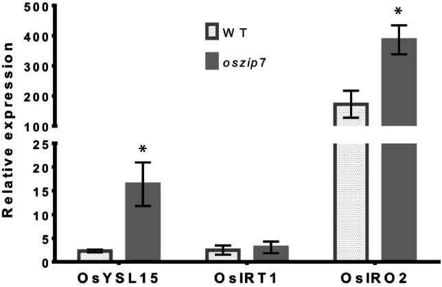 Fig. 7