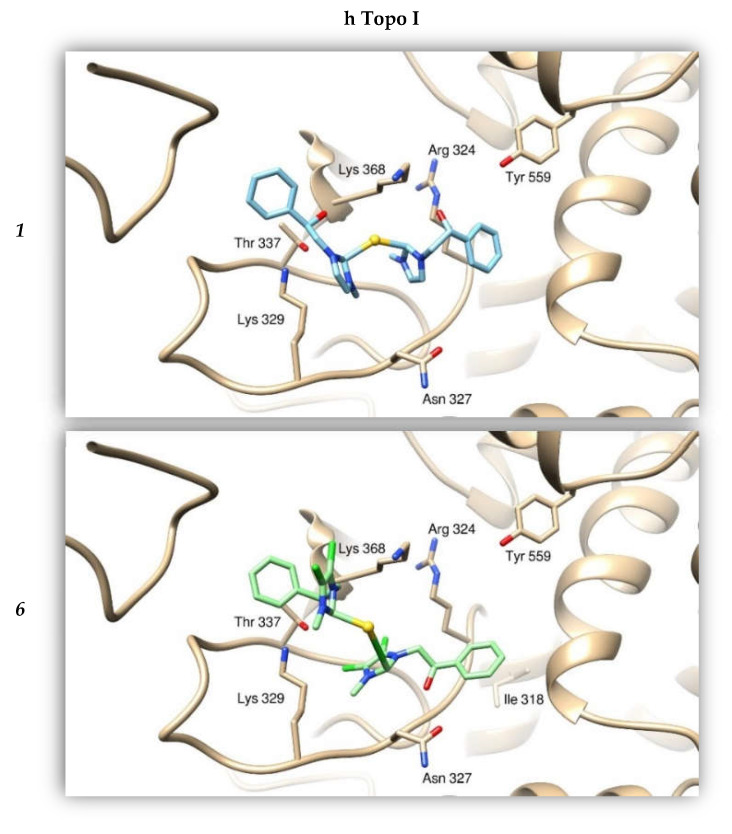 Figure 7