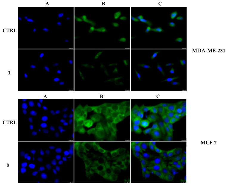 Figure 13