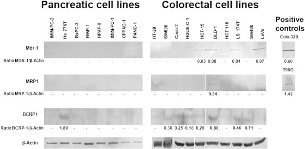 Figure 7