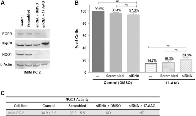 Figure 10