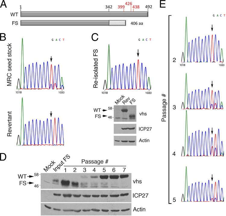 FIG 3