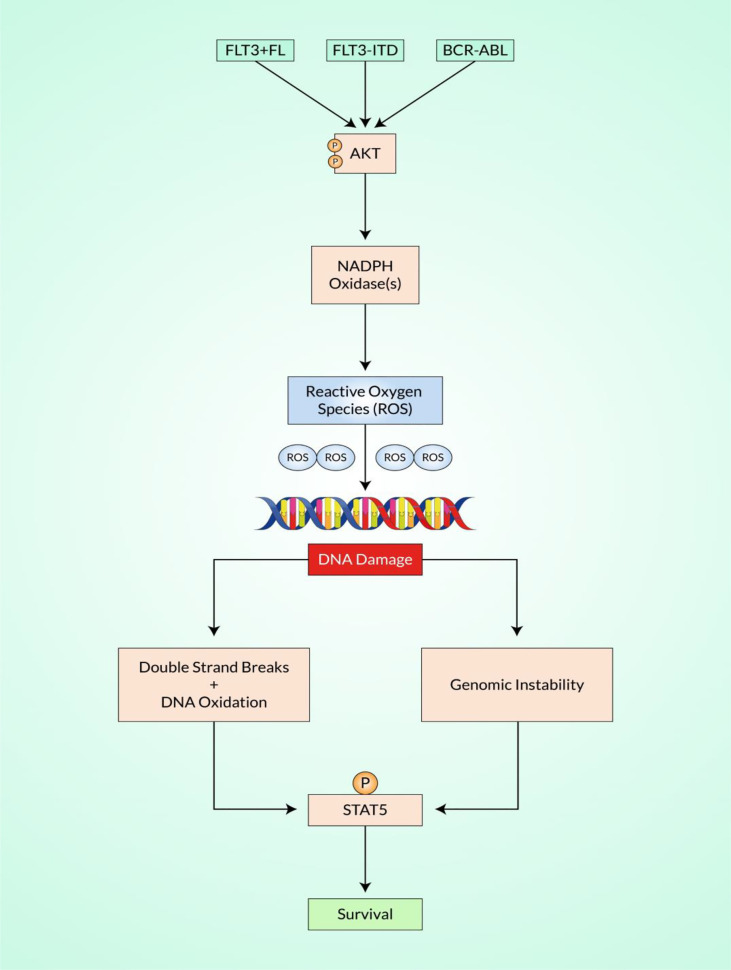 Figure 3