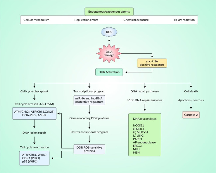 Figure 1