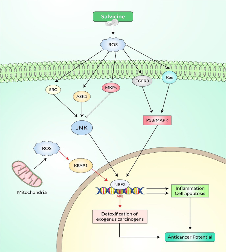 Figure 6