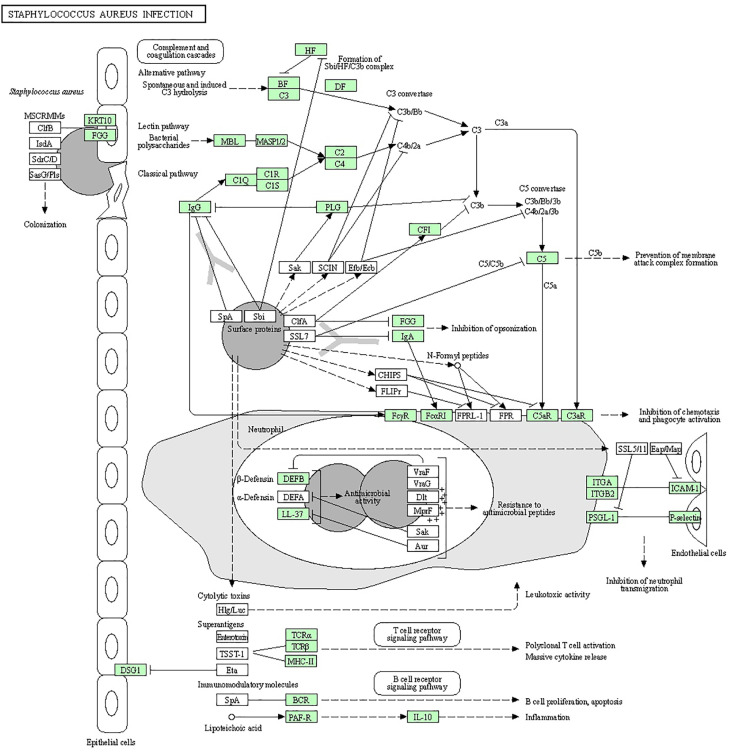 Figure 1