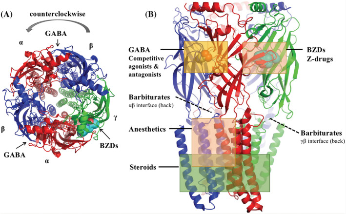 FIGURE 2