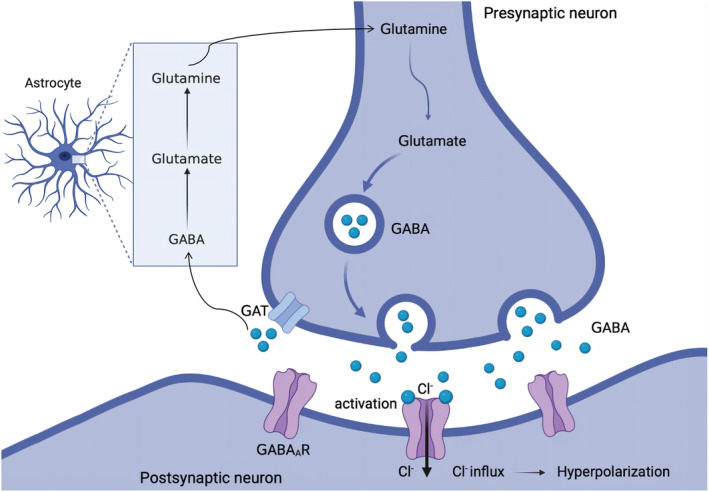 FIGURE 1