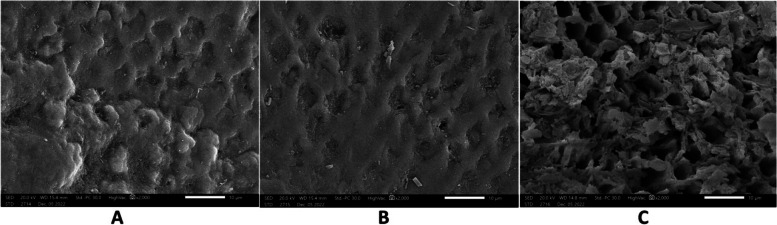 Fig. 13