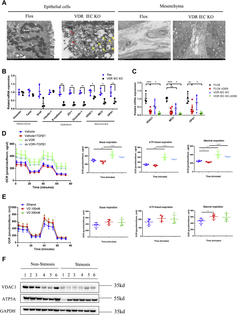 Figure 6