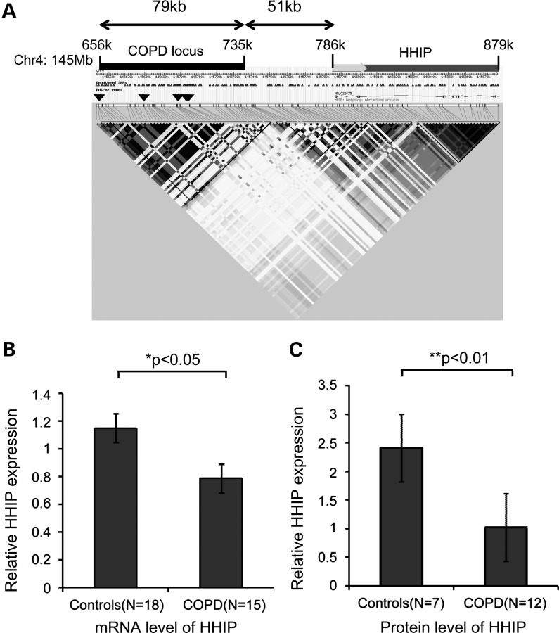 Figure 1.