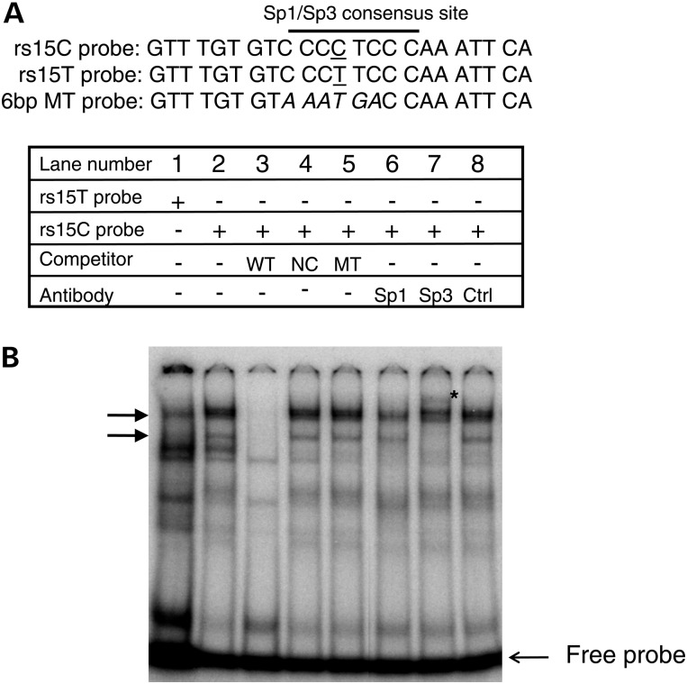 Figure 4.