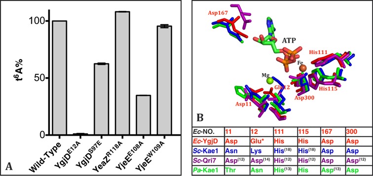 Figure 5.