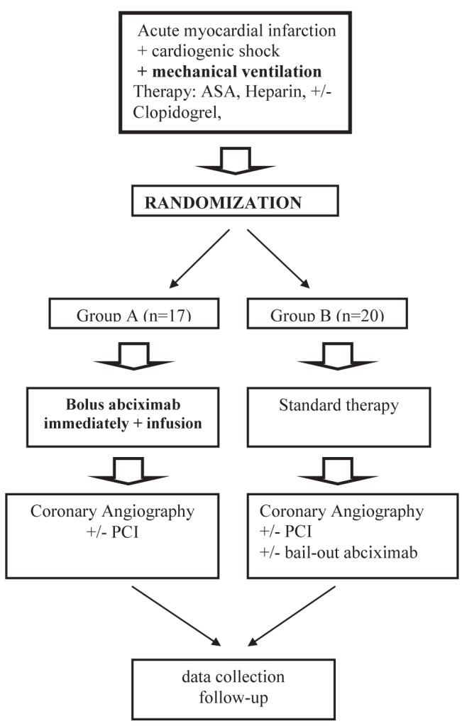 Figure 1)