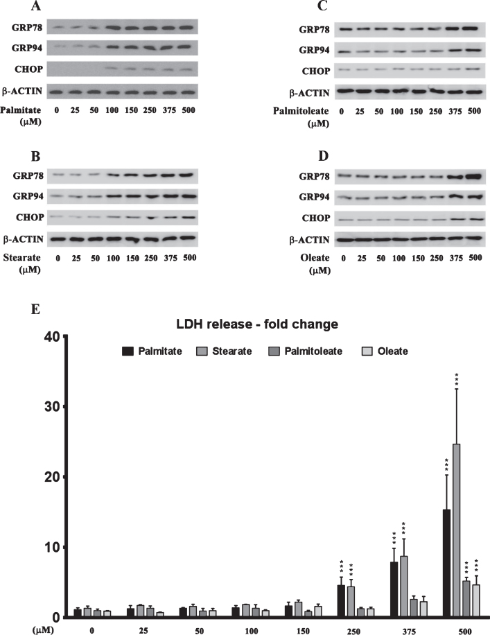 Fig.1