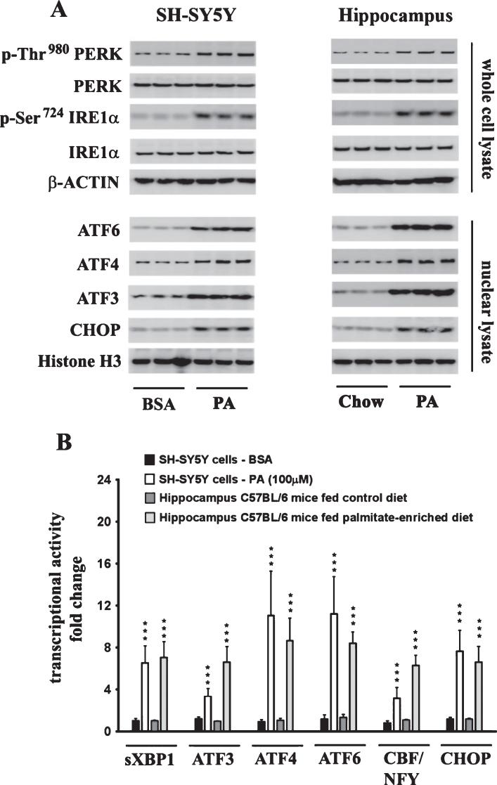 Fig.2