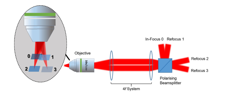 Fig. 9