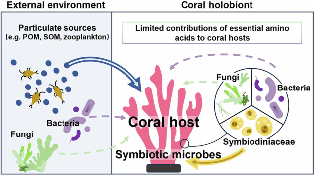 graphic file with name 42003_2025_8888_Figa_HTML.jpg
