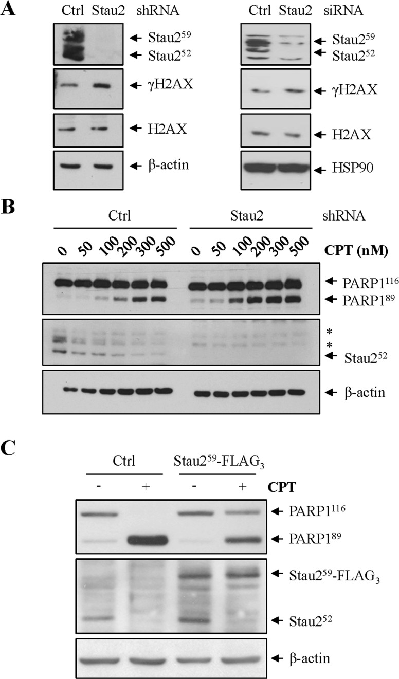 Figure 9.