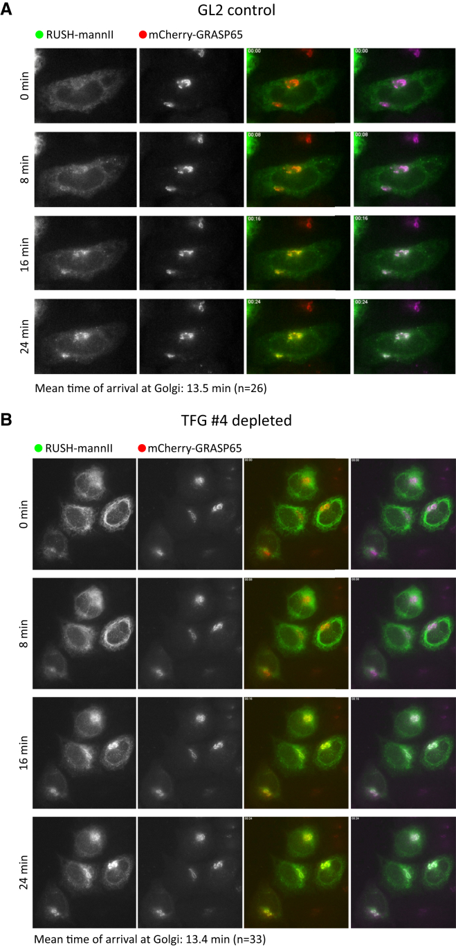 Figure 2