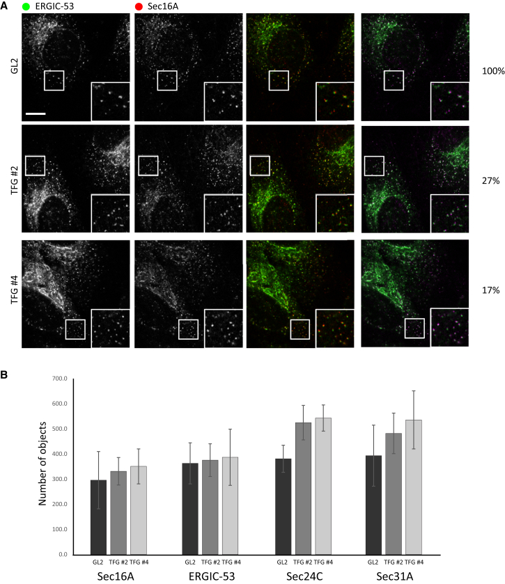 Figure 3